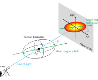 Sometimes You Do Have to Consider Them: Observing Magnetic Fields Using Pulsar Halos