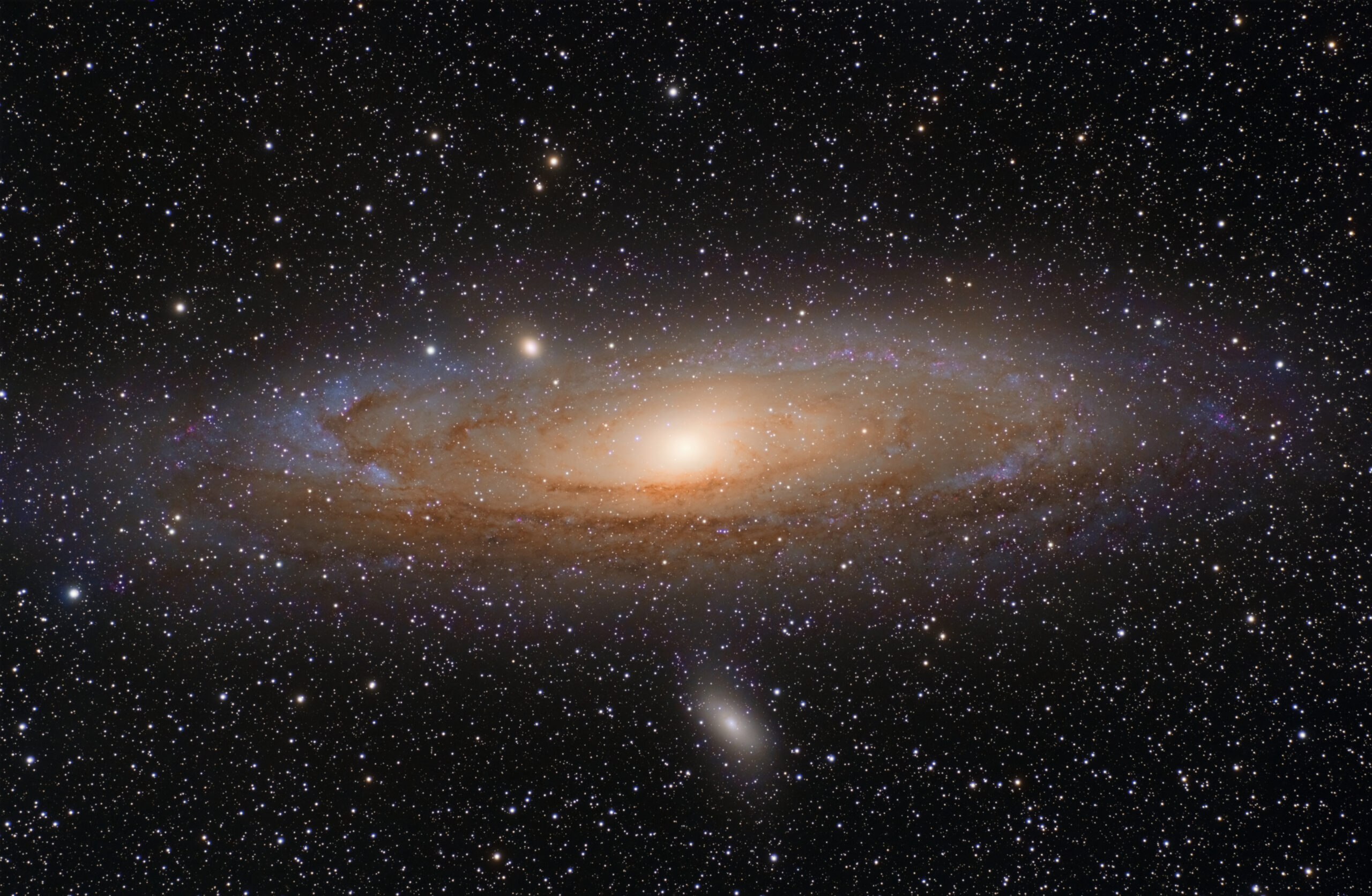 Primordial Black Holes lensing my Andromeda Galaxy? It could be more common than you think