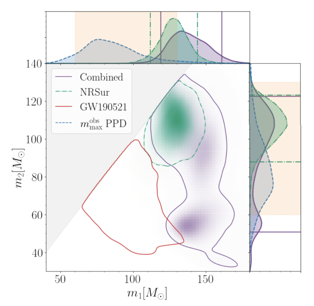 2D contour plot showing the masses of the two black holes. Purple contour is labeled "combined", green contour is labeled "NRSur", red contour is labeled "GW190521" and blue contour is labeled "maximum observed m PPD". The GW190521 contour has a primary mass distribution that lies beneath both the combined and NRSur contours. The range of possible combined masses is larger than the NRSur contour, but has considerable overlap. The peaks of the observed maximum mass lie beneath the peak of the observed primary mass of GW231123. Both the primary and secondary mass distributions for GW231123 have probabilities within the mass gap.