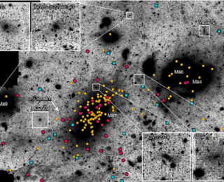 Guest: Novel Clues to the Formation of Ultra-Compact Dwarf Galaxies