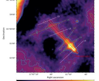 Cosmic Fishbones: Strange Radio Streaks Behind a Racing Pulsar