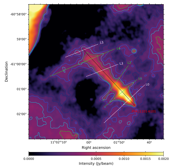Cosmic Fishbones: Strange Radio Streaks Behind a Racing Pulsar