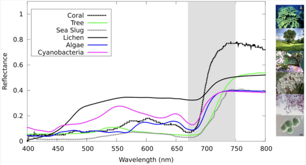 Graph showing the spectra of different VRE-causing things on Earth. It shows multiple colored lines that have a sharp increase around 700 nm.