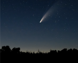 A Treasure Trove of Asteroids