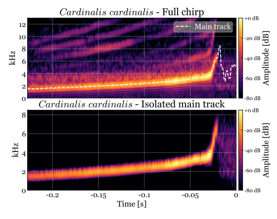 A 2D plot of the amplitude of a recorded cardinal chirp over time, showing a slow increase and a sharp upturn at the end, similar to black hole gravitational waves. 