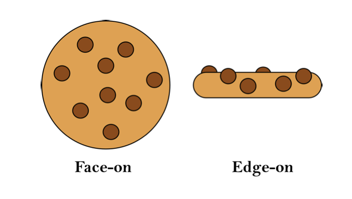 A drawing of a chocolate chip cookie, seen both face-on and edge-on. 
