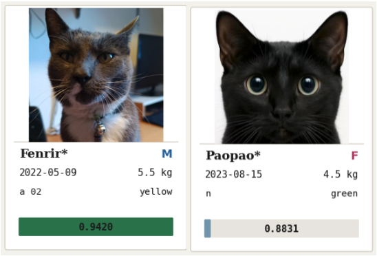 Left: Fenrir, a gray and white male cat with yellow eyes who has his eyes slightly narrowed so that he looks suspicious. Right: Paopao, a black female cat with the roundest green eyes you ever did see.