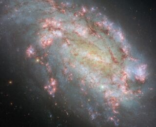 Guest: Re‑envisioning Galaxy Morphology with Sparse Autoencoders