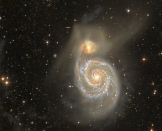 Hungry Hungry Galaxies: How does the shape of a galaxy’s halo affect its appetite?
