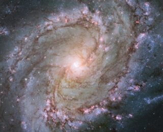 Galaxies of Many Colors