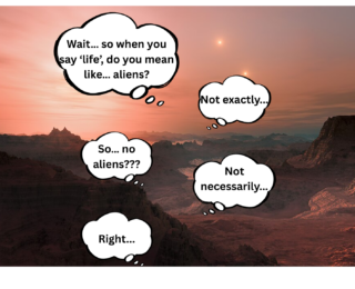 What is life, really? A case for interdisciplinary science